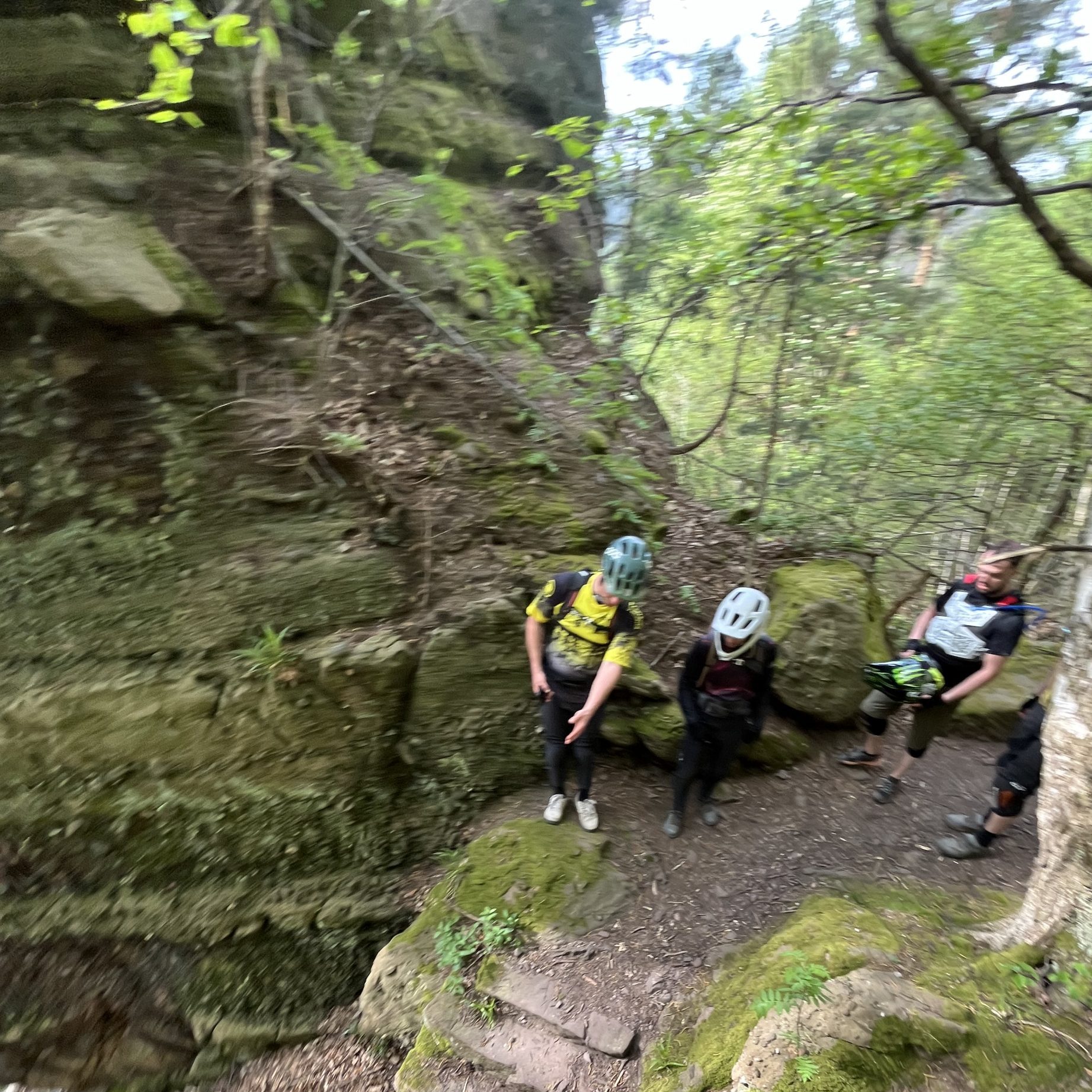 Trailride Nideggen