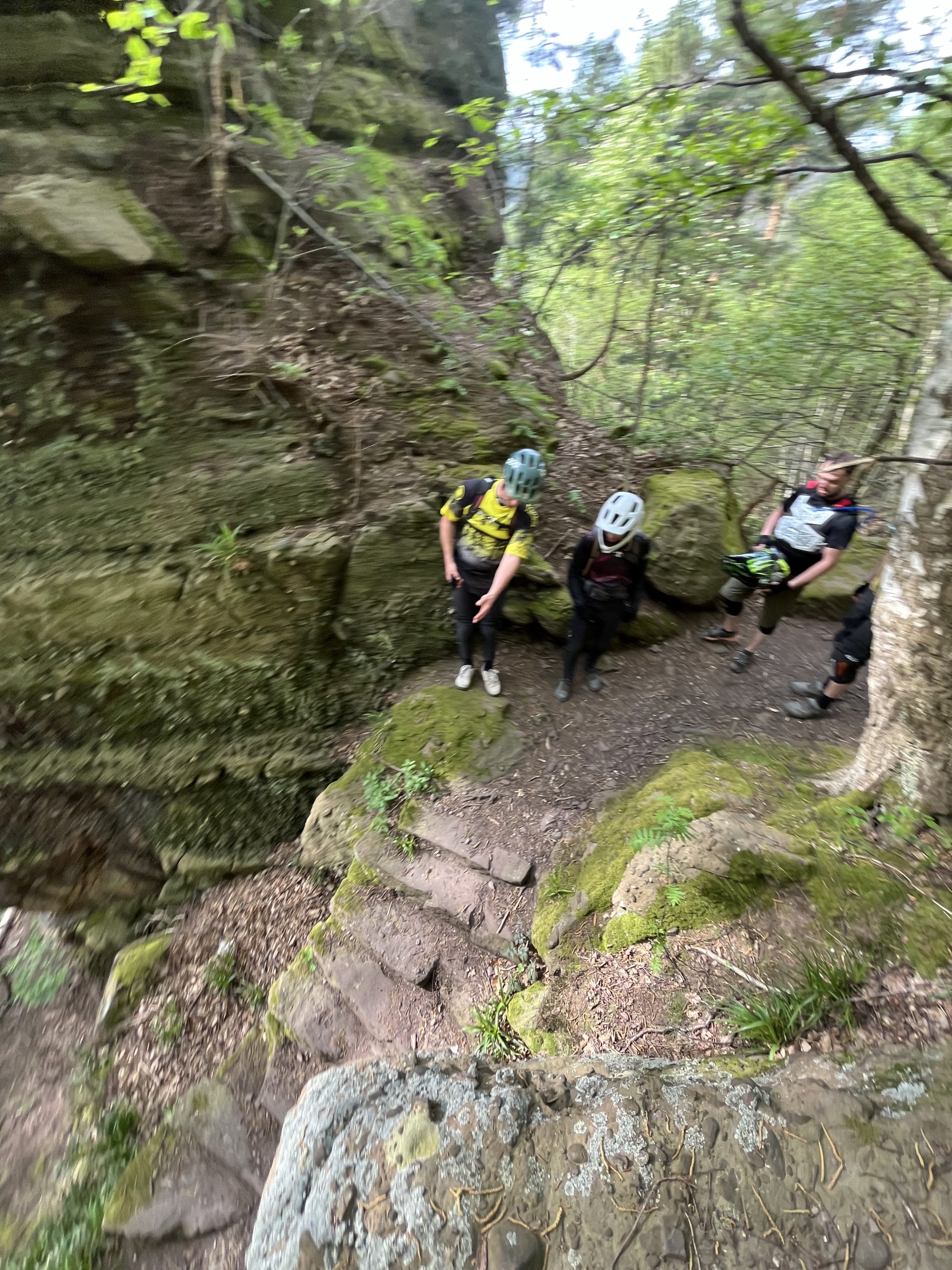 Trailride Nideggen