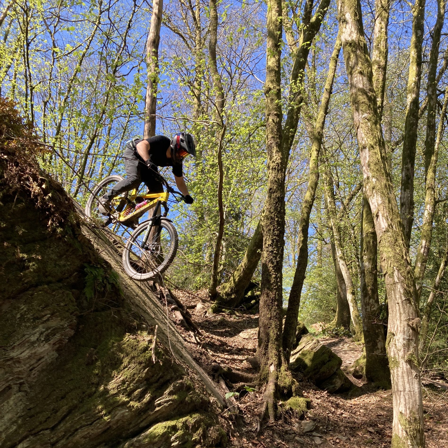 Trailride Rochehaut