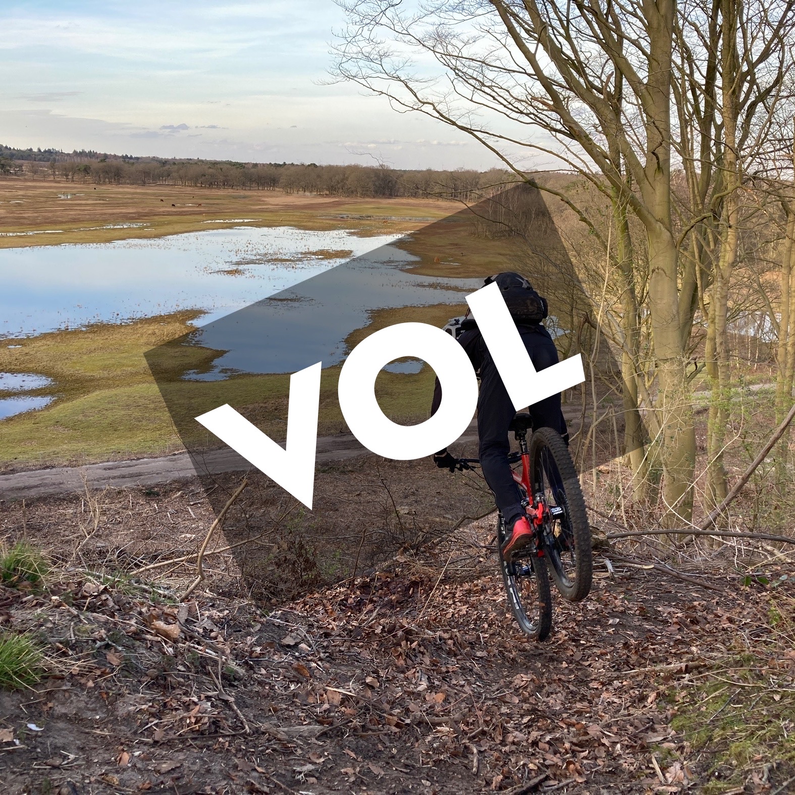 Skillride Endo Turns